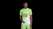 In Love Sport GIF by VfL Wolfsburg