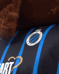 Brugges GIF by Club Brugge
