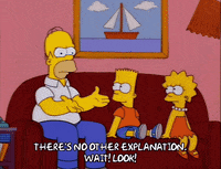 homer simpson episode 22 GIF