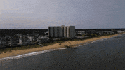 Asir GIF by Atlantic Sotheby's International Realty