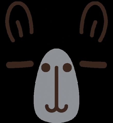 Noristudio giphygifmaker face capybara カピバラ GIF