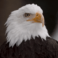 Roll Turn GIF by TRT