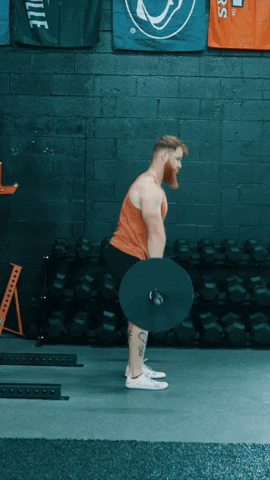 Honehealth giphyupload deadlift GIF