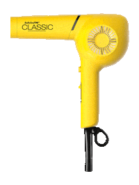 Blowdryer Sticker by BaByliss Pro