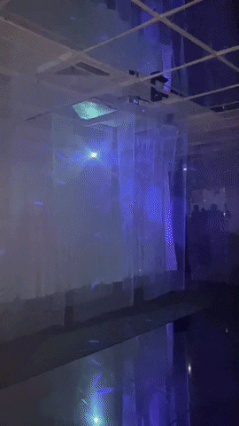irasemafever giphyupload GIF