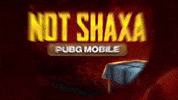 Not Shaxa GIF