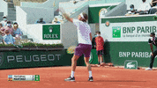 Sport GIF by Tennis Channel