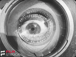 man with a movie camera GIF by FilmStruck
