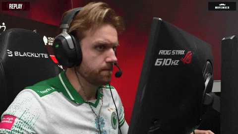 Falcons GIF by BLAST