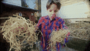 Farm Hay GIF by Het Klokhuis