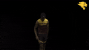 Tfxc GIF by CUCougars