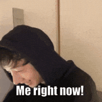 Stray Kids Skz GIF