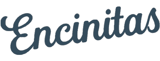Script Sticker by Surfside Beach Co