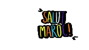 Morocco Marrocos Sticker by Salut Maroc