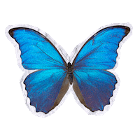 Stars Cut Out Sticker