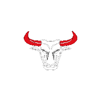 cftb crossfittb Sticker by CrossFit Telêmaco Borba