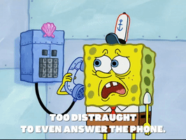 Episode 5 Keep Bikini Bottom Beautiful GIF by SpongeBob SquarePants