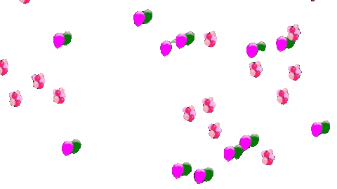 pramodmittal44gmailcom giphyupload transparent background animated gif Sticker