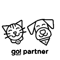 Cat Go Sticker by GO! SOLUTIONS