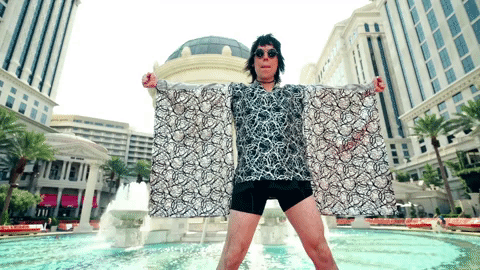 primadonna like me GIF by thestruts