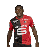 Tout Donner Yes Sticker by Stade Rennais F.C.