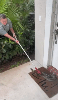 Rattlesnake Removed From Front Door 