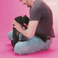 Puppy Puppies GIF by BuzzFeed