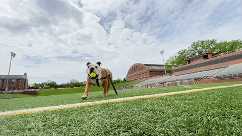 Happy Slow Motion GIF by Butler University