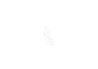 Flower Grow Sticker
