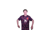 Wings Flying Sticker by Carson-Newman Athletics