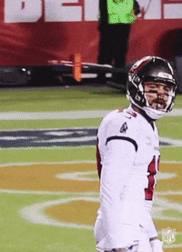 Celebrate Regular Season GIF by NFL