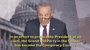 news chuck schumer ig report doj ig report trump-russia investigation GIF