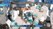 Miami Dolphins Football GIF by NFL