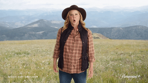 ColoradoPols giphyupload GIF