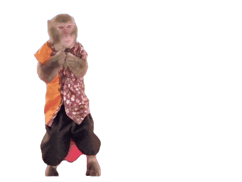 Fun Monkey Sticker