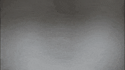 Anna Wintour Women GIF by BDHCollective