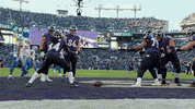 Happy War GIF by Baltimore Ravens