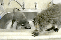 baby sink GIF