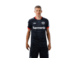 Bayer 04 Facepalm GIF by Bayer 04 Leverkusen