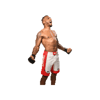 Mma Kevin Sticker by BRAVE Combat Federation