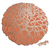 Orange Flower Dahlia Sticker