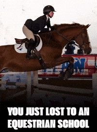 Mustangs GIF