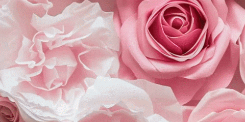 Mother GIF by SHANNON BALENCIAGA