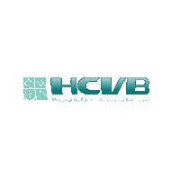 hcvbblumenau  Sticker