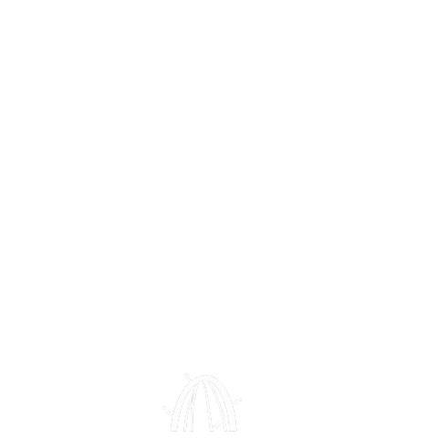 Cactus Arizona Sticker