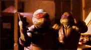 teenage mutant ninja turtles 90s GIF