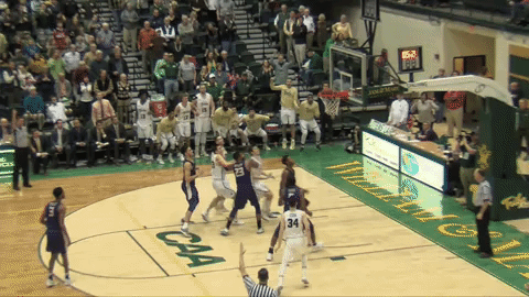 william and mary basketball marchontribe GIF