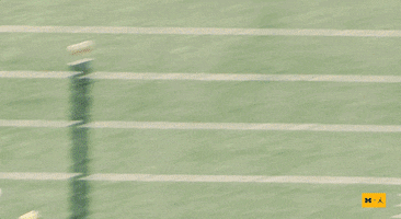 Go Blue Michigan Football GIF by Michigan Athletics