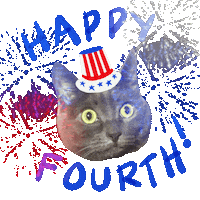 Independence Day Cat Sticker