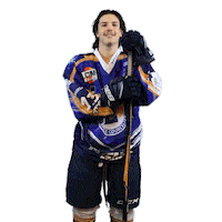 Ice Hockey Sport Sticker by Lesphenix